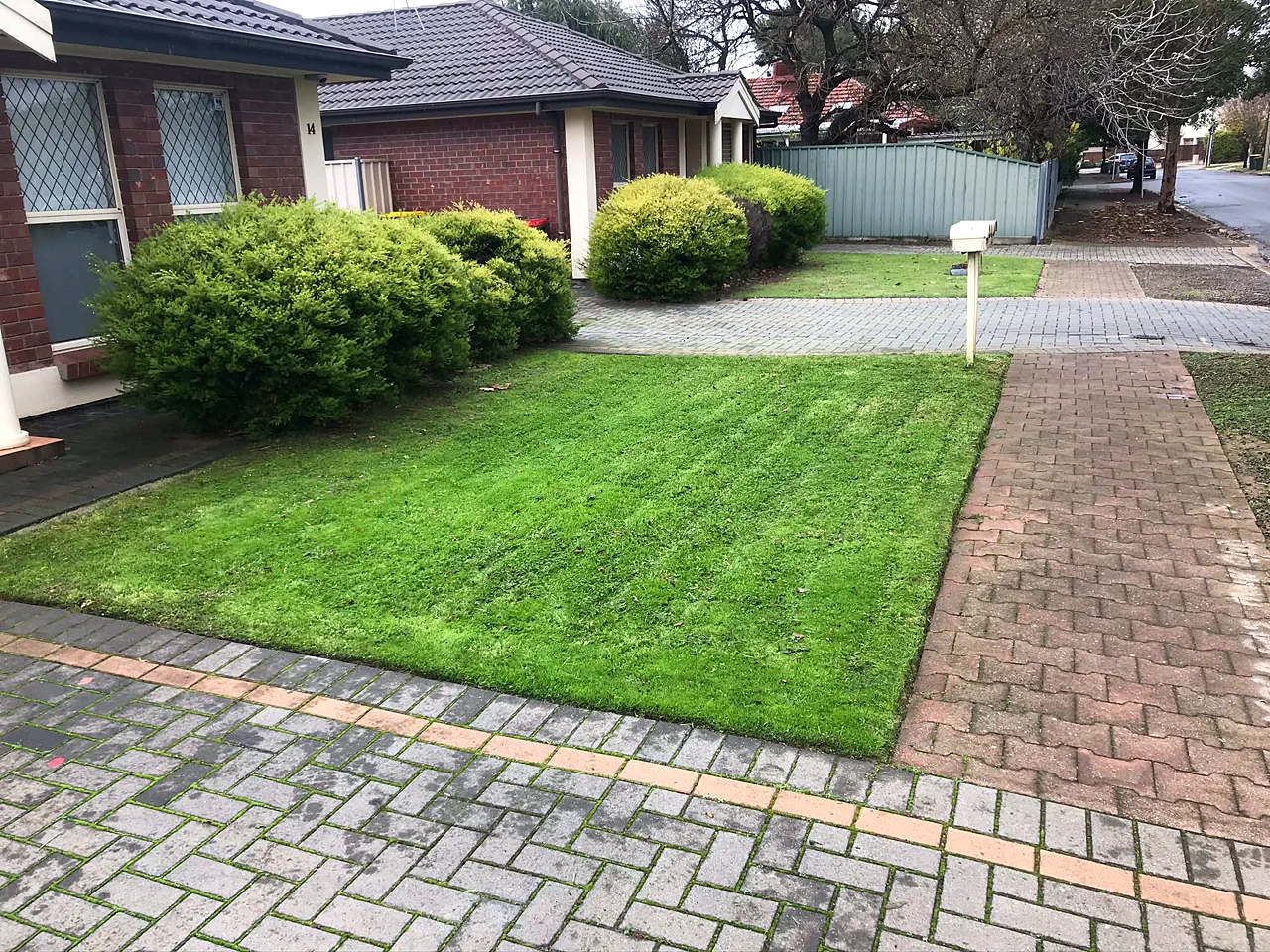 Neatly mowed and edged front lawn