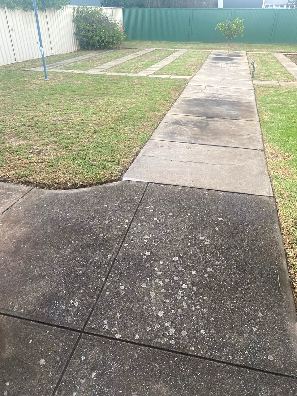 Mowed backyard lawn with a crisply edged path